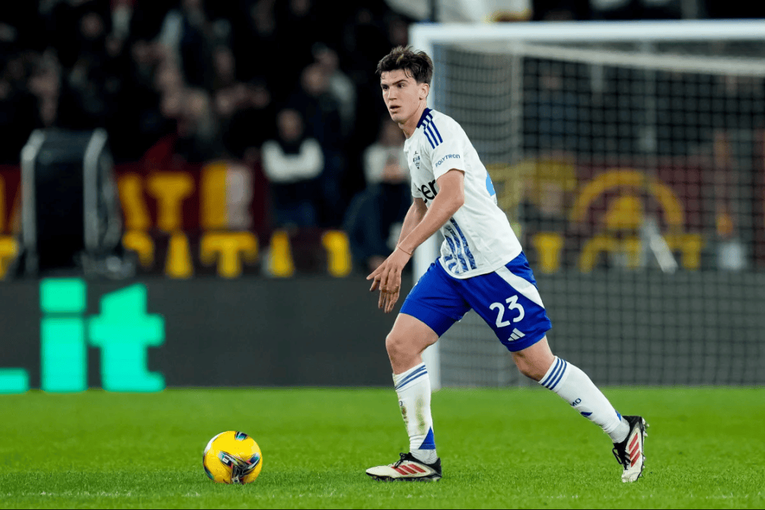 的动作迅速 的动作迅速