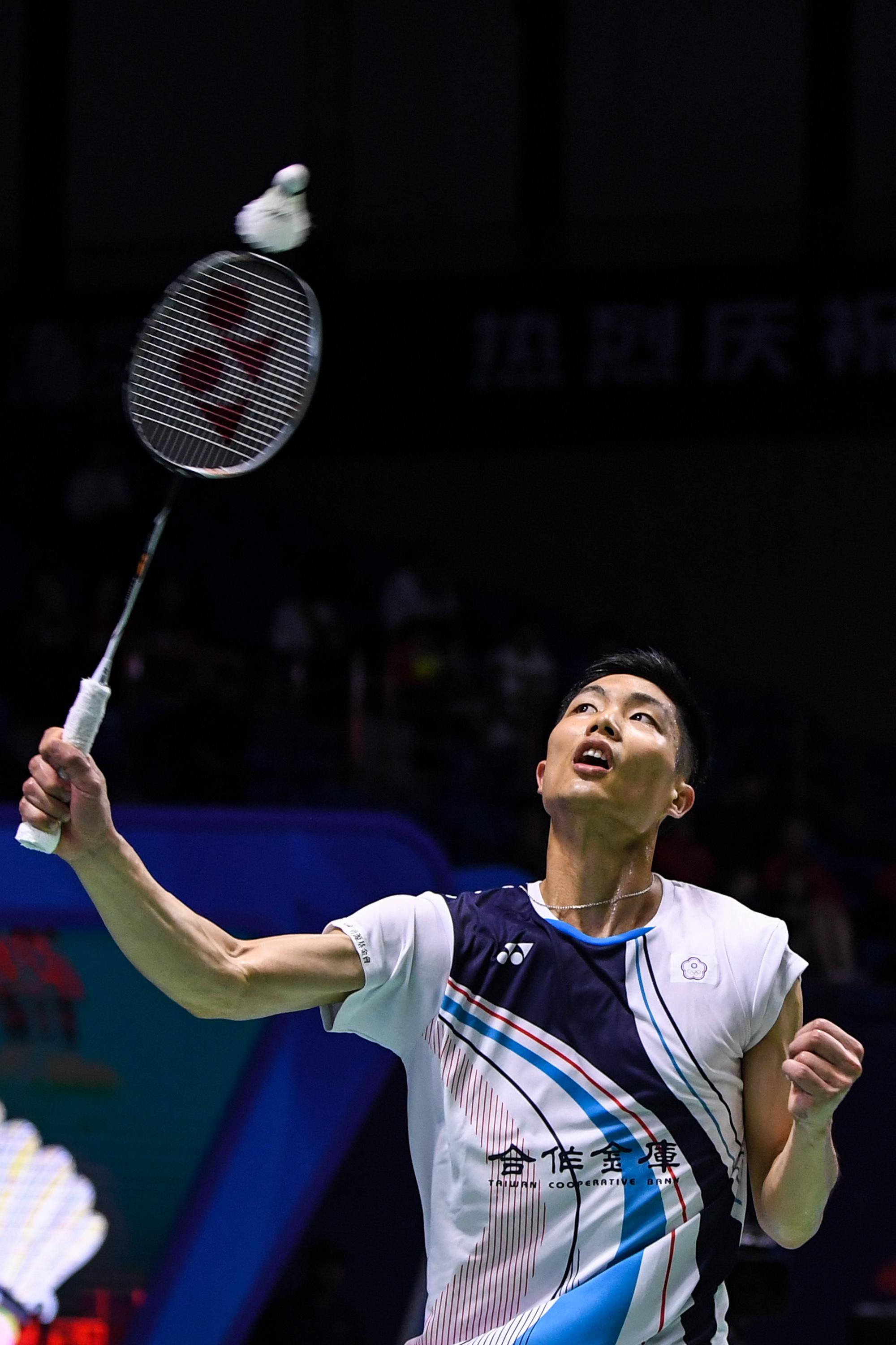 现出更强的 现出更强的