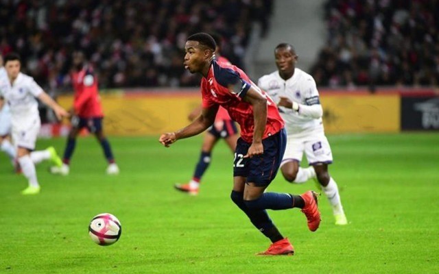 越来越多的 越来越多的