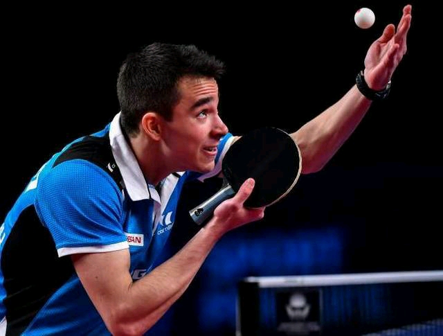 本文將為您 本文將為您