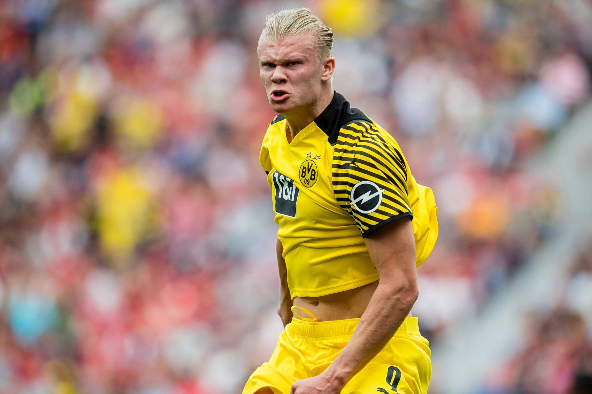 对左投分配 对左投分配