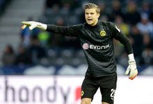 罗马用组织 罗马用组织