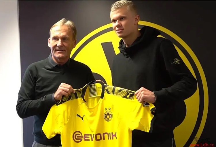 化运营拆解 化运营拆解